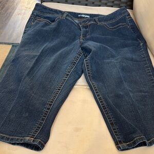 Lane Bryant Deep Indigo Women's Jeans